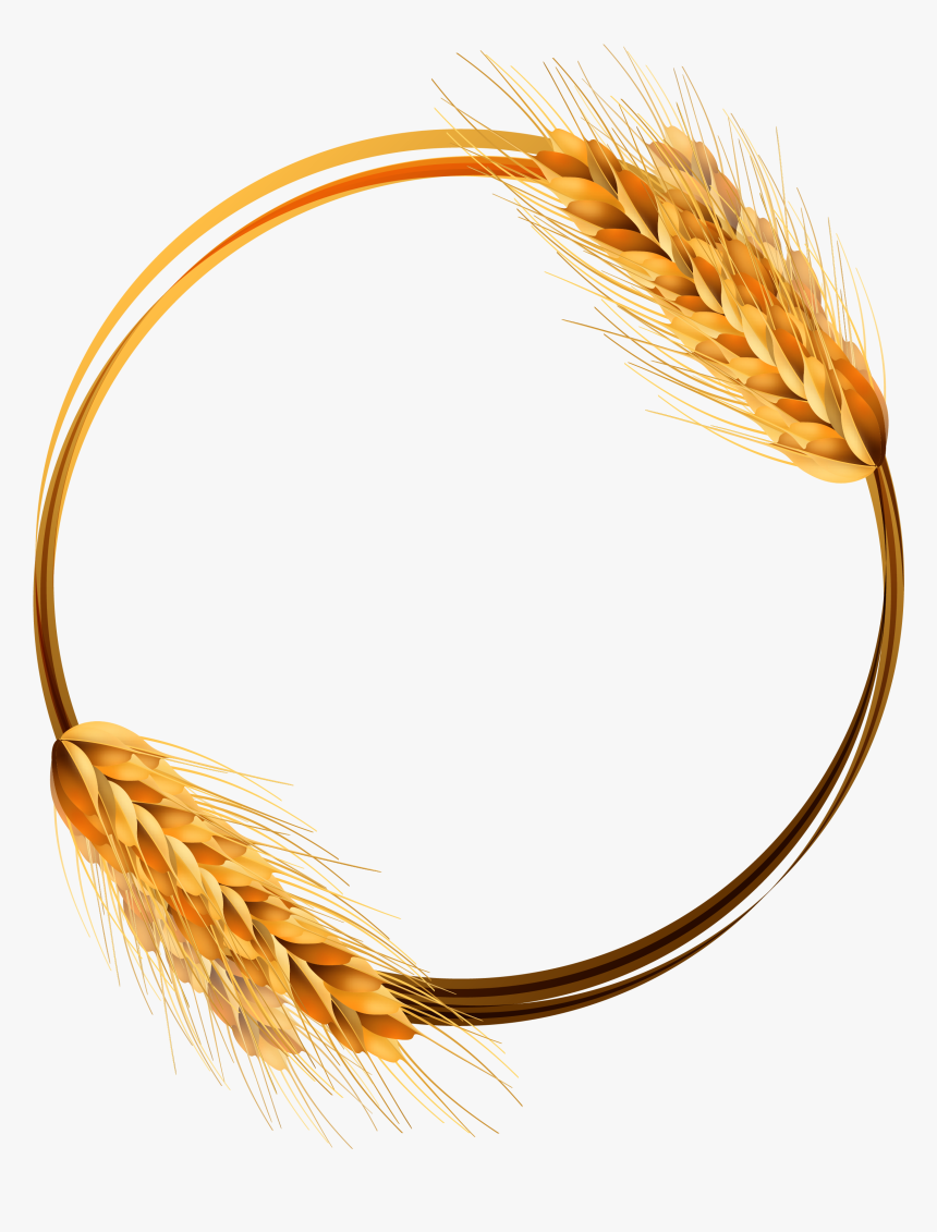 Detail Wheat Transparent Nomer 23