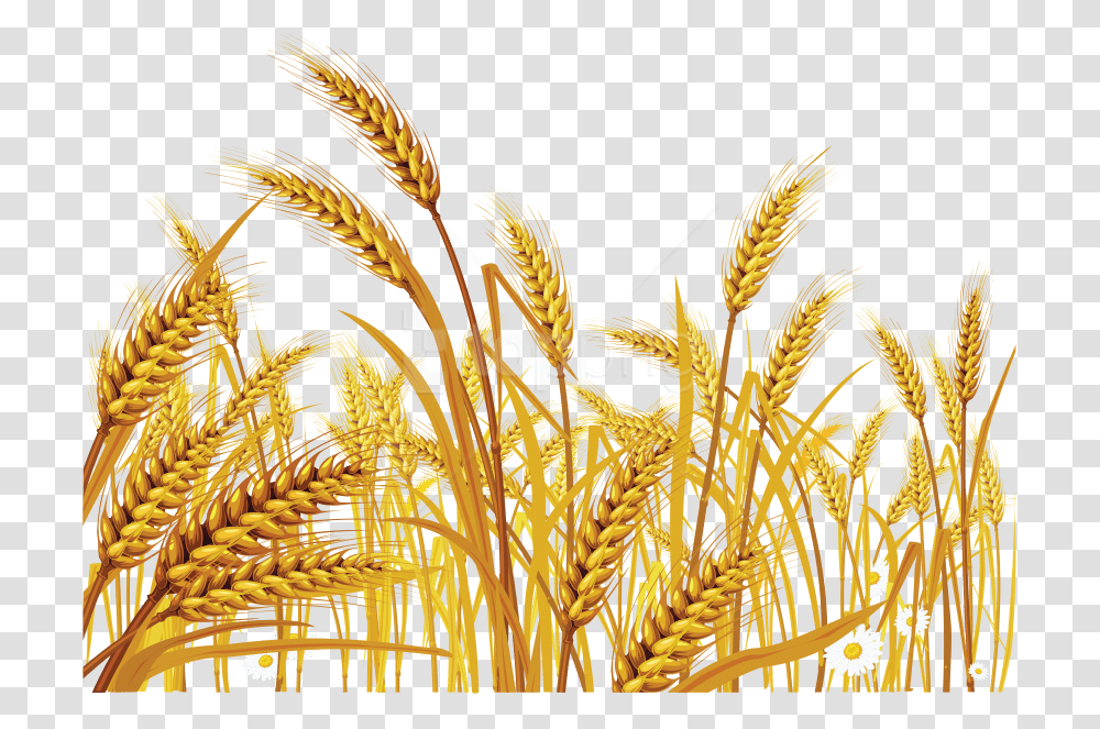 Detail Wheat Transparent Nomer 29
