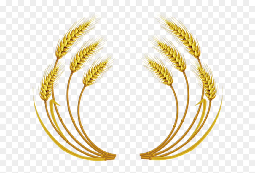 Detail Wheat Transparent Nomer 55
