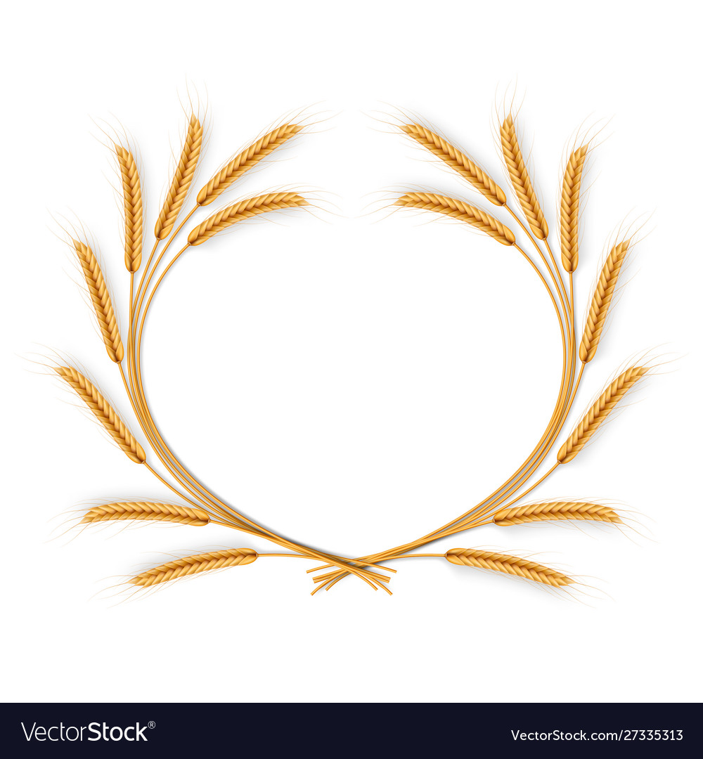 Detail Wheat Wreath Vector Nomer 29