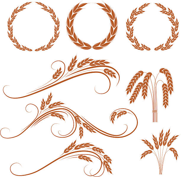 Detail Wheat Wreath Vector Nomer 38