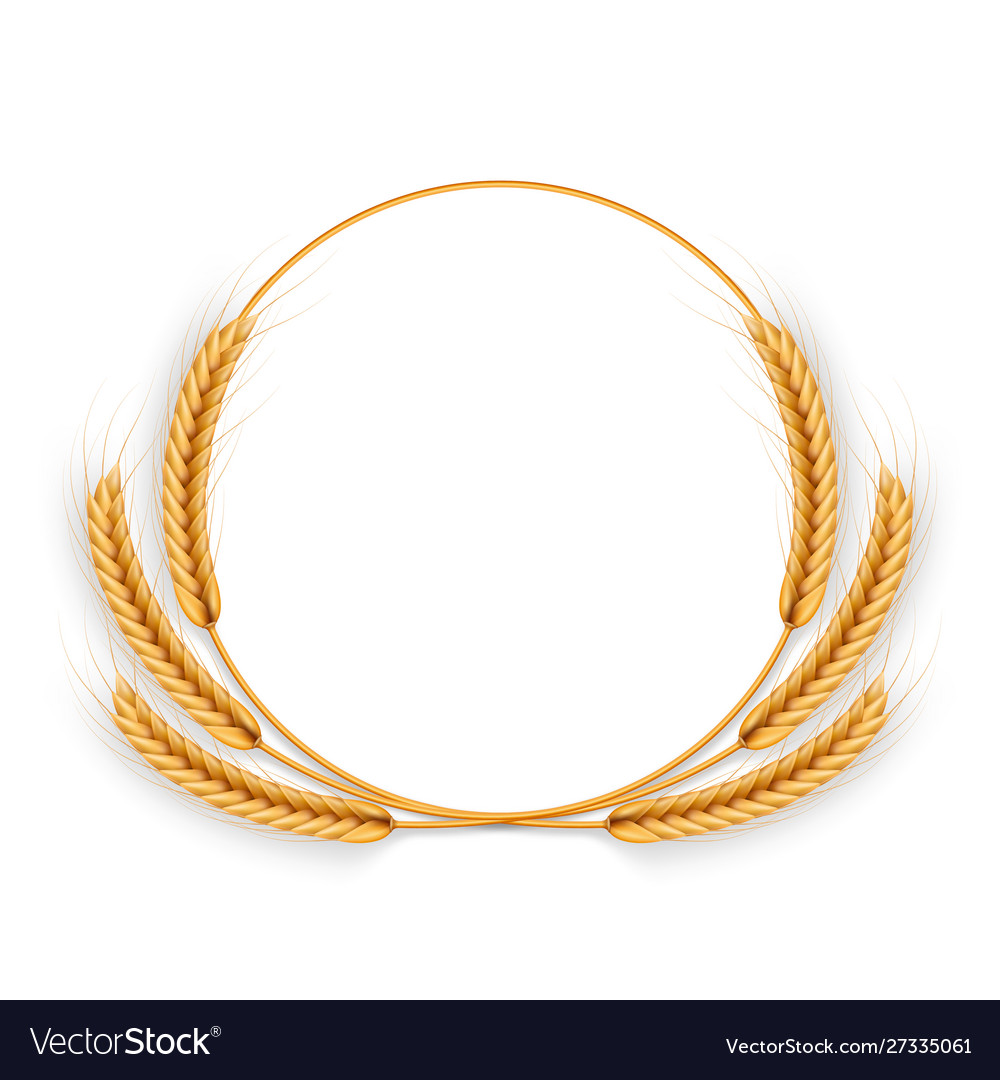 Detail Wheat Wreath Vector Nomer 44