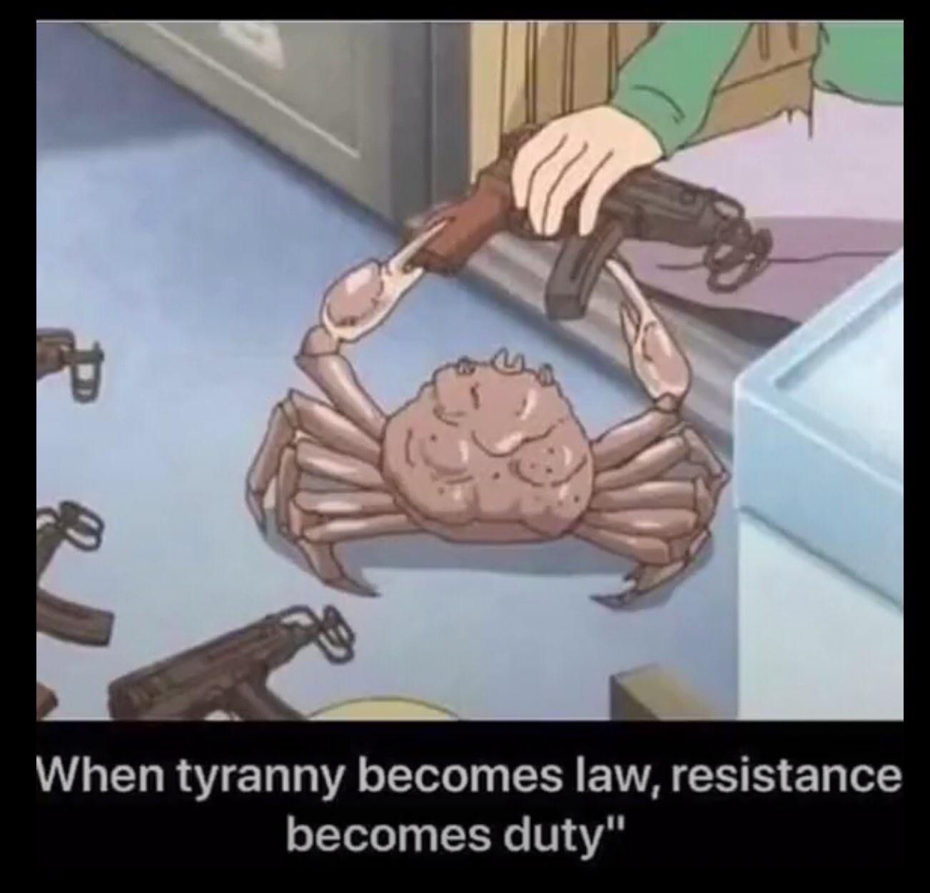 Detail When Tyranny Becomes Law Rebellion Becomes Duty Meme Nomer 4