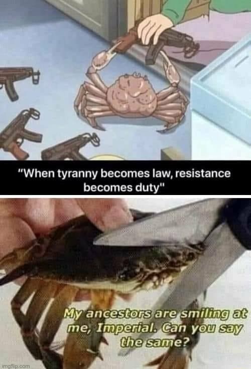 Detail When Tyranny Becomes Law Rebellion Becomes Duty Meme Nomer 5