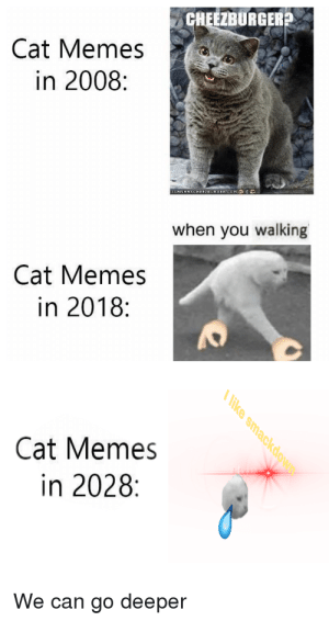 Detail When You Walking Cat Meme Nomer 22