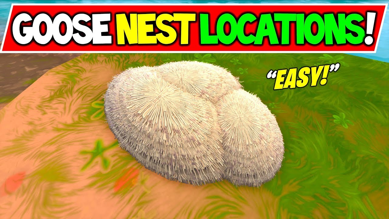 Detail Where Are The Goose Nests In Fortnite Nomer 33