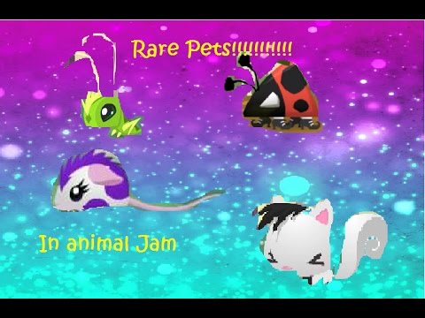 Detail Where Is The Praying Mantis In Animal Jam Nomer 14