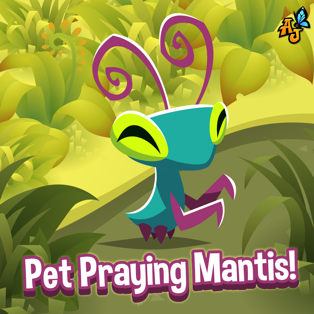 Detail Where Is The Praying Mantis In Animal Jam Nomer 3