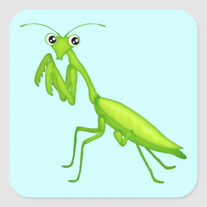 Detail Where Is The Praying Mantis In Animal Jam Nomer 30