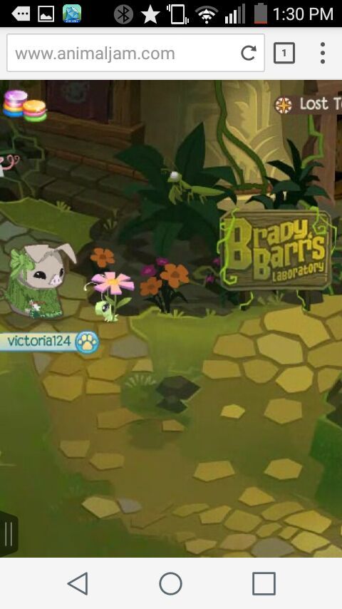 Detail Where Is The Praying Mantis In Animal Jam Nomer 42