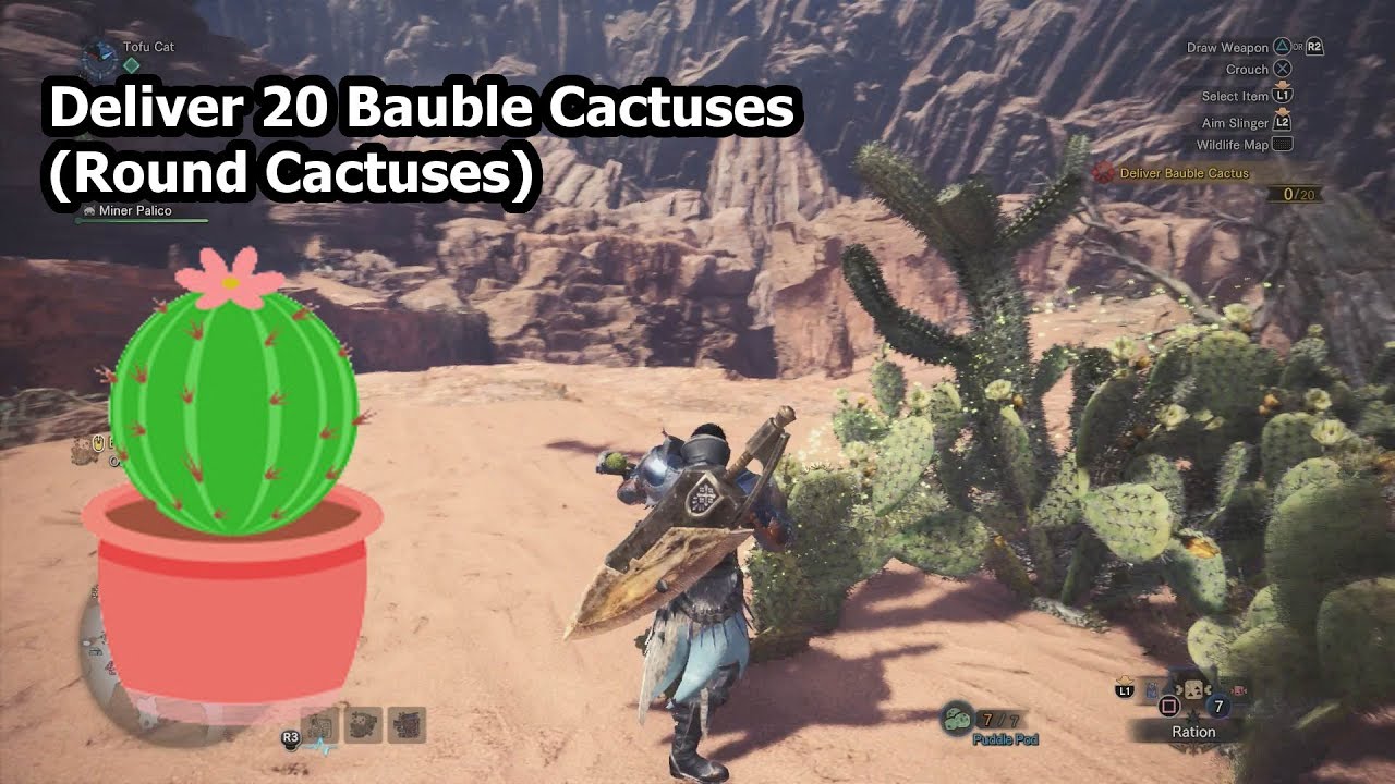 Detail Where To Find Bauble Cactus Nomer 6