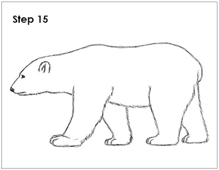 Detail Sketsa Gambar Beruang Nomer 46
