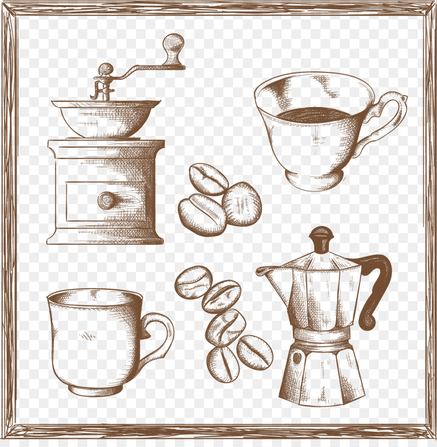 Detail Sketsa Gambar Biji Kopi Nomer 42