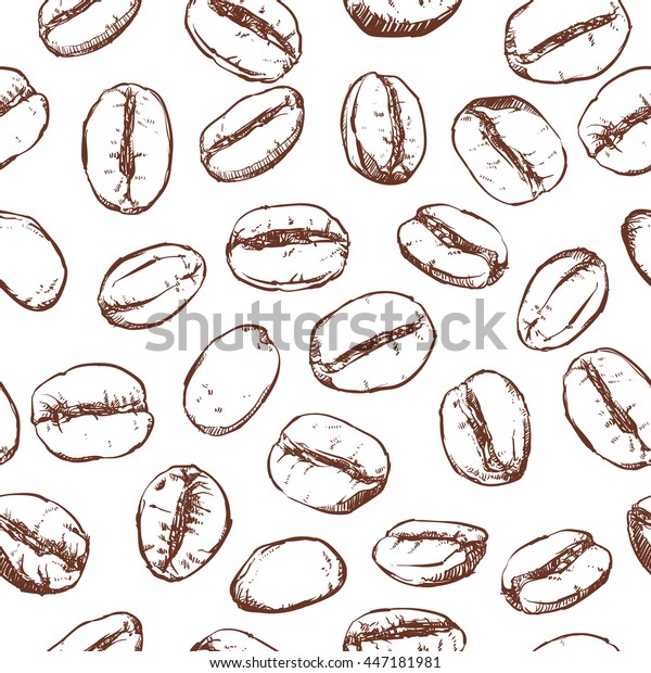 Detail Sketsa Gambar Biji Kopi Nomer 49