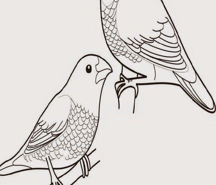 Detail Sketsa Gambar Binatang Darat Nomer 22