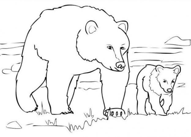Detail Sketsa Gambar Binatang Darat Nomer 5