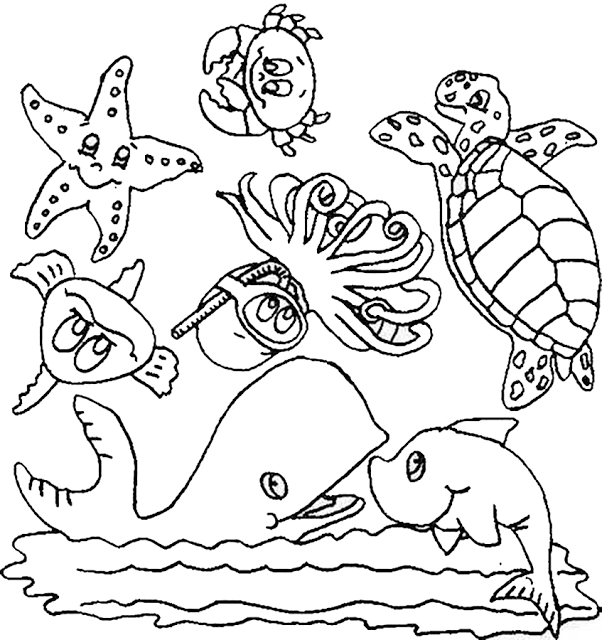 Detail Sketsa Gambar Binatang Laut Nomer 15