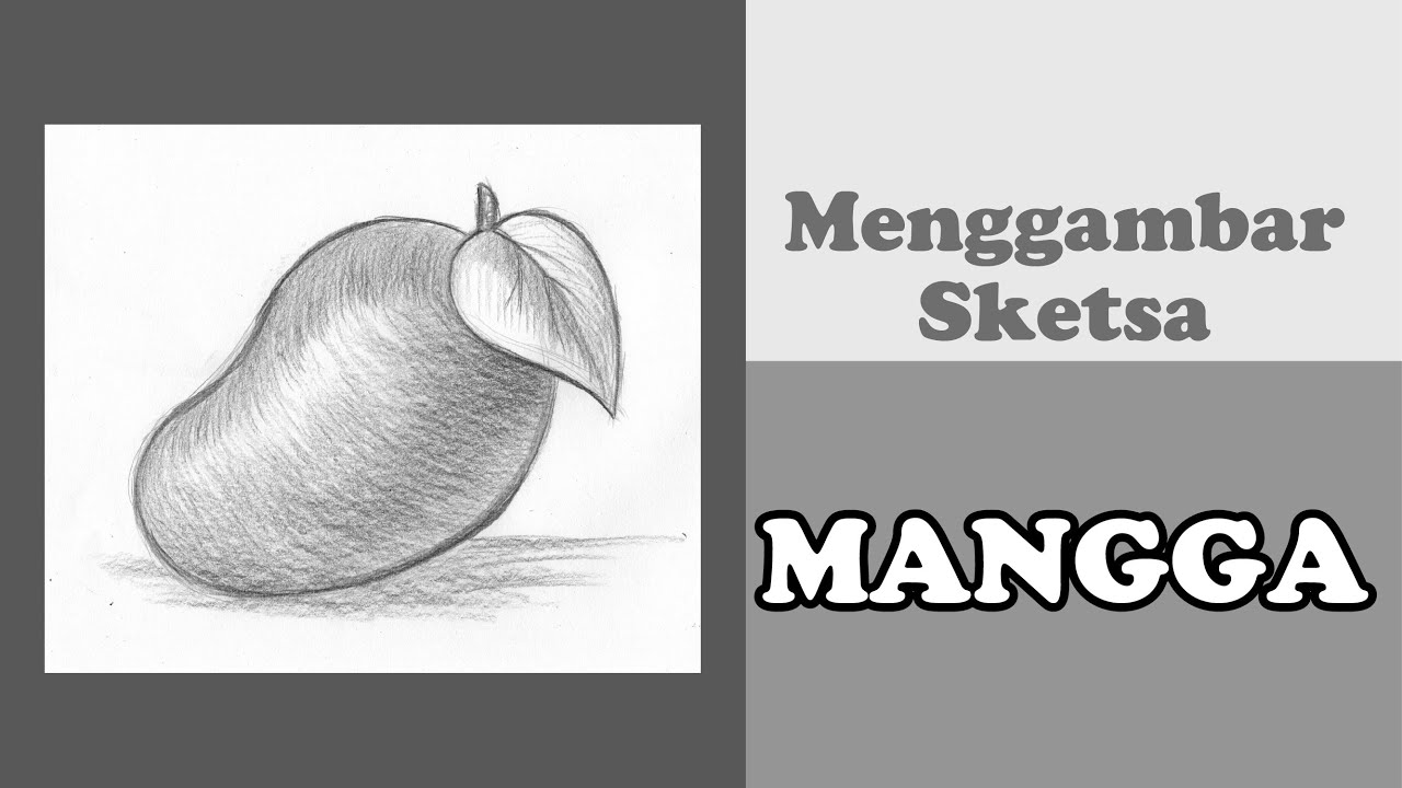 Detail Sketsa Gambar Buah Mangga Nomer 16