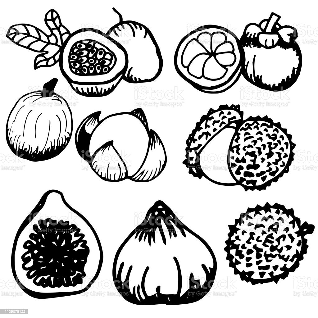 detail-sketsa-gambar-buah-rambutan-koleksi-nomer-15