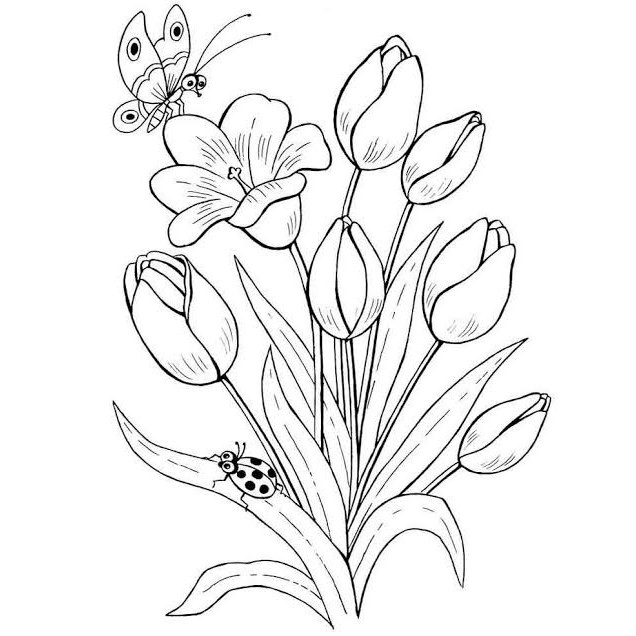 Detail Sketsa Gambar Bunga Anak Tk Nomer 29