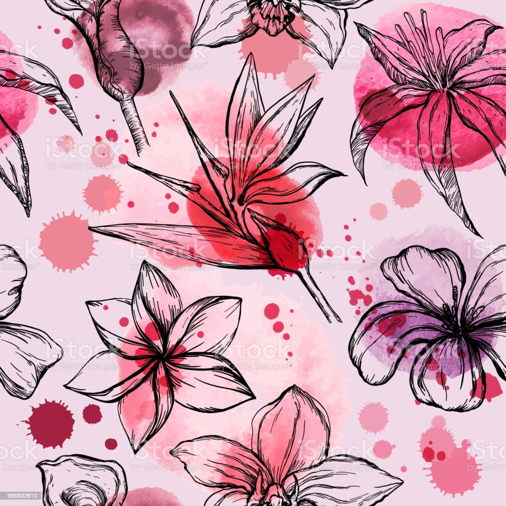 Detail Sketsa Gambar Bunga Anggrek Nomer 54