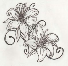 Detail Sketsa Gambar Bunga Bakung Nomer 12