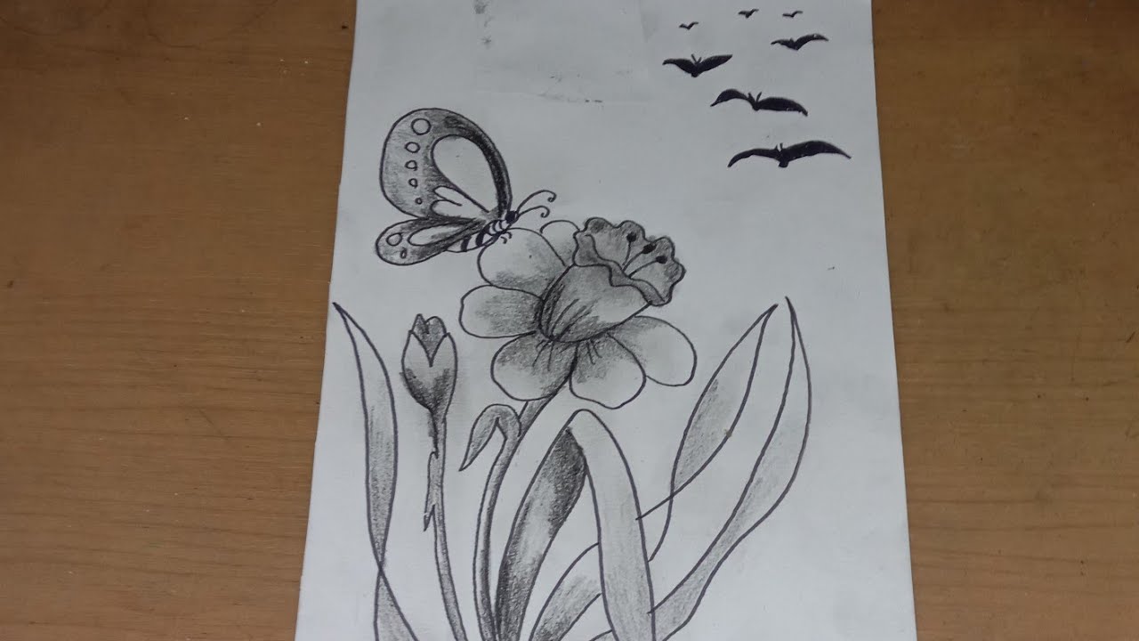 Detail Sketsa Gambar Bunga Bakung Nomer 9