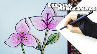 Detail Sketsa Gambar Bunga Bugenvil Nomer 16