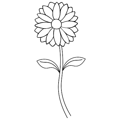 Sketsa Gambar Bunga Daisy - KibrisPDR