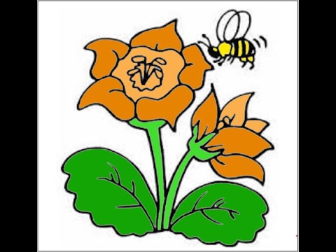 Detail Sketsa Gambar Bunga Dan Kumbang Nomer 2