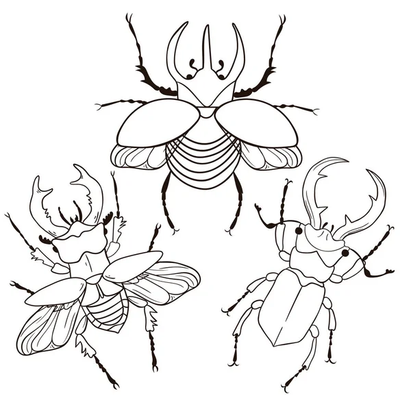 Detail Sketsa Gambar Bunga Dan Kumbang Nomer 14