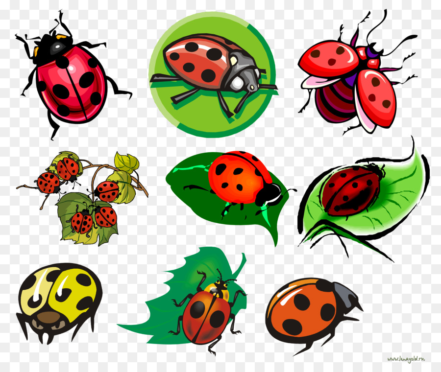 Detail Sketsa Gambar Bunga Dan Kumbang Nomer 22