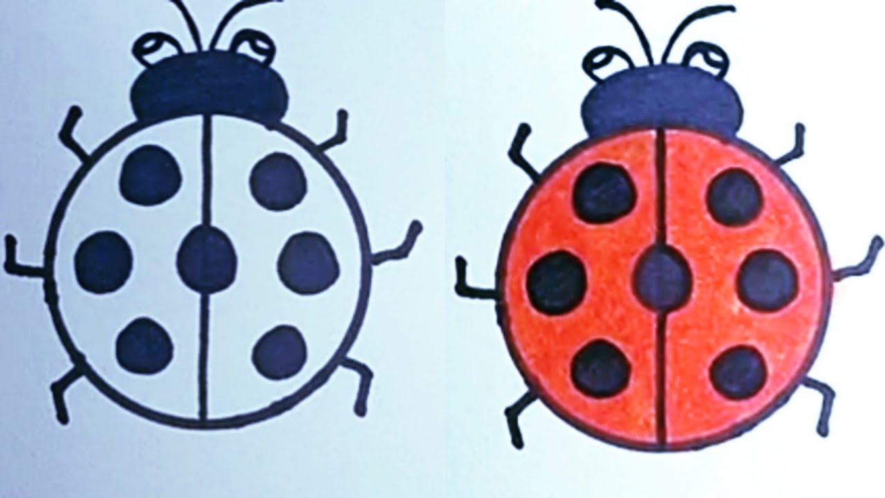 Detail Sketsa Gambar Bunga Dan Kumbang Nomer 30