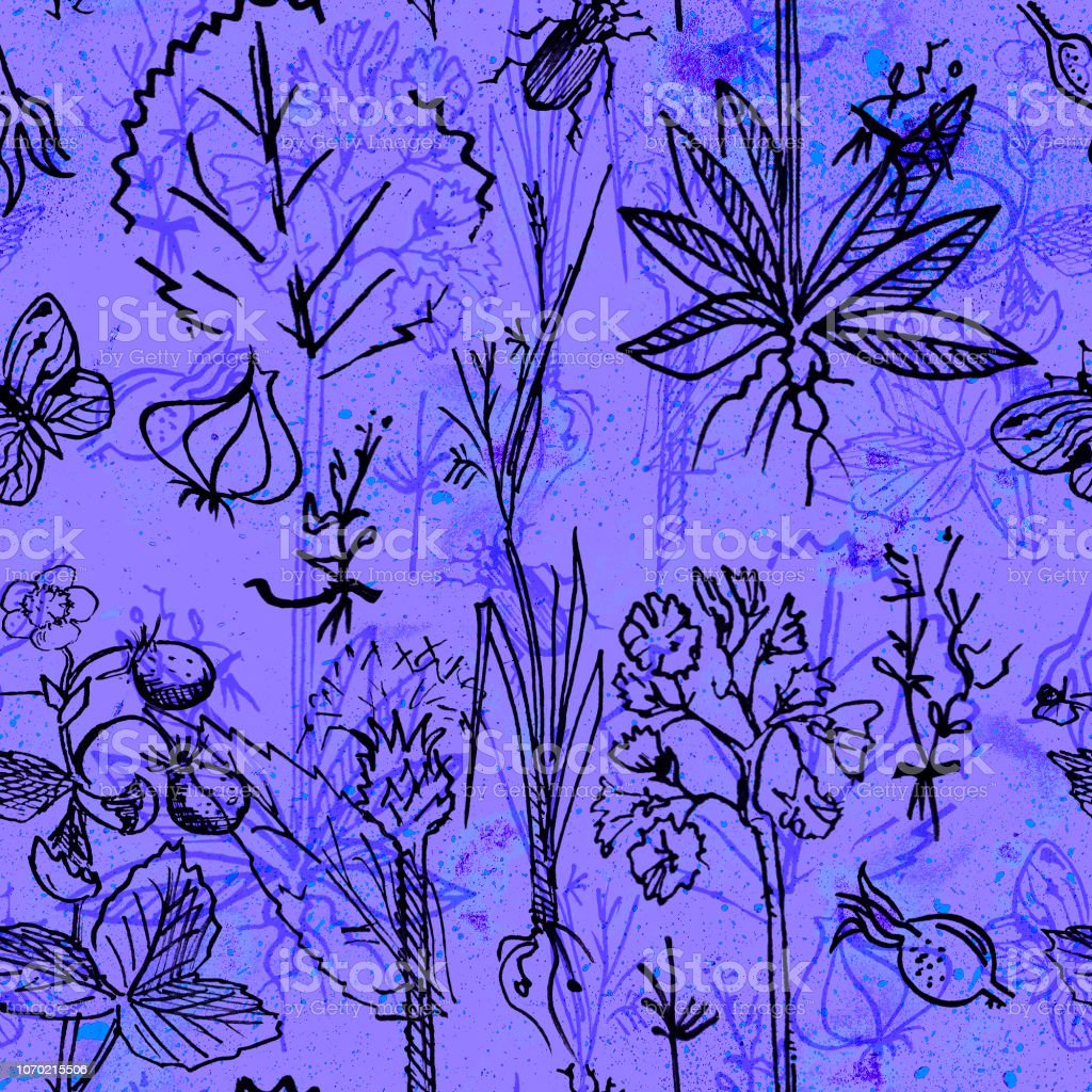 Detail Sketsa Gambar Bunga Dan Kumbang Nomer 32