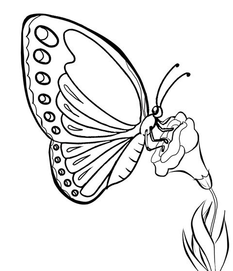 Detail Sketsa Gambar Bunga Dan Kumbang Nomer 50