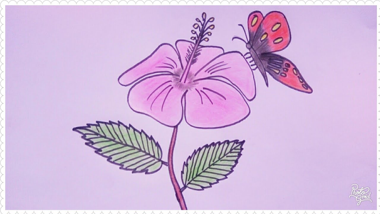 Detail Sketsa Gambar Bunga Dan Kupu Kupu Nomer 18