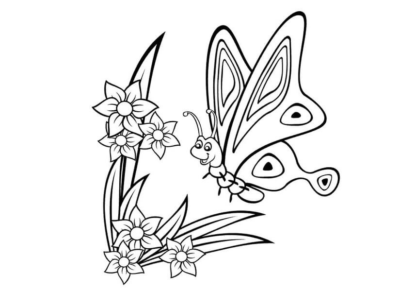 Detail Sketsa Gambar Bunga Dan Kupu Kupu Nomer 28