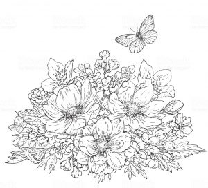 Detail Sketsa Gambar Bunga Dan Kupu Kupu Nomer 37