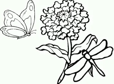 Detail Sketsa Gambar Bunga Dan Kupu Kupu Nomer 43