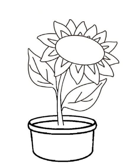 Detail Sketsa Gambar Bunga Dan Potnya Nomer 15