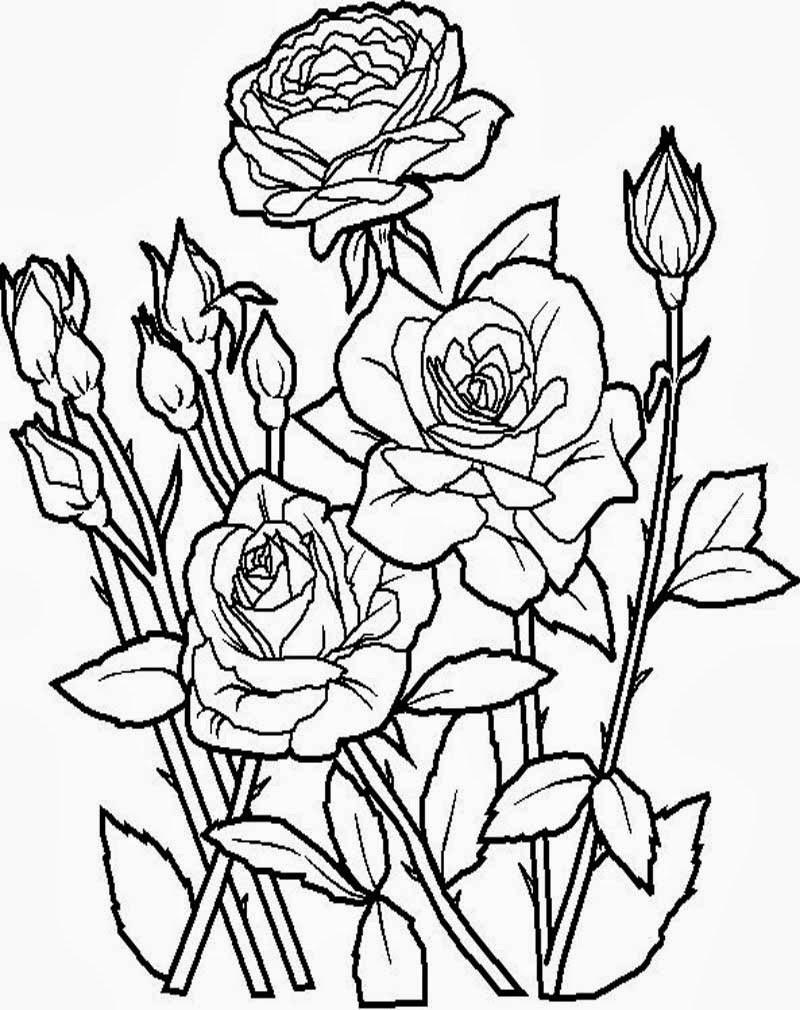 Detail Sketsa Gambar Bunga Dan Potnya Nomer 42