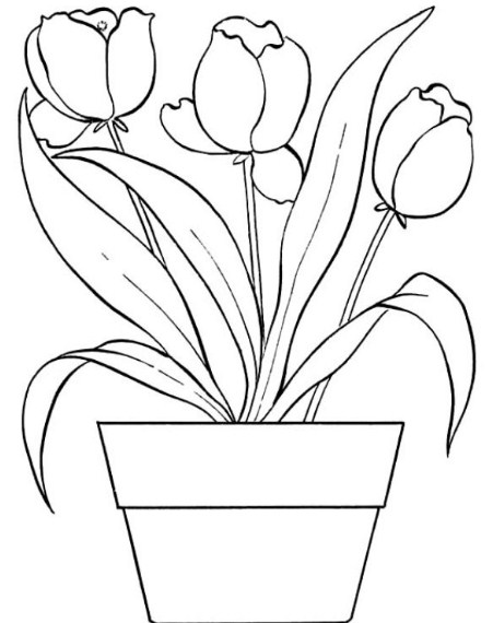 Detail Sketsa Gambar Bunga Dan Potnya Nomer 7