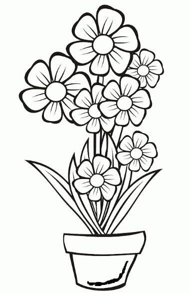 Detail Sketsa Gambar Bunga Dan Potnya Nomer 8