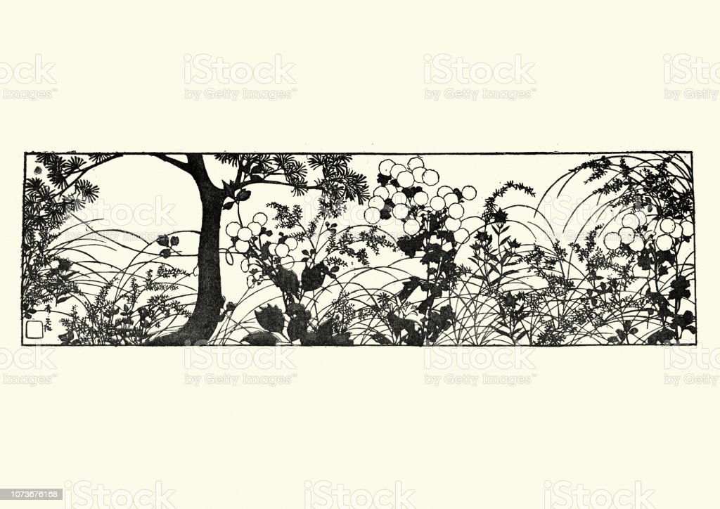 Detail Sketsa Gambar Bunga Di Jepang Nomer 50