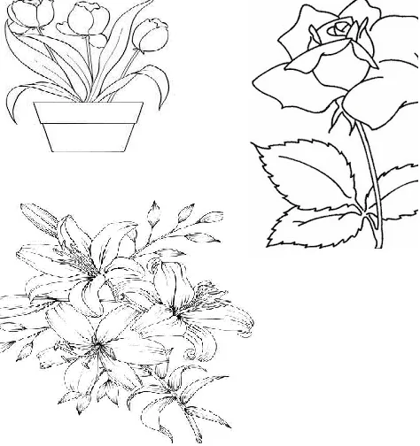 Detail Sketsa Gambar Bunga Flora Nomer 23