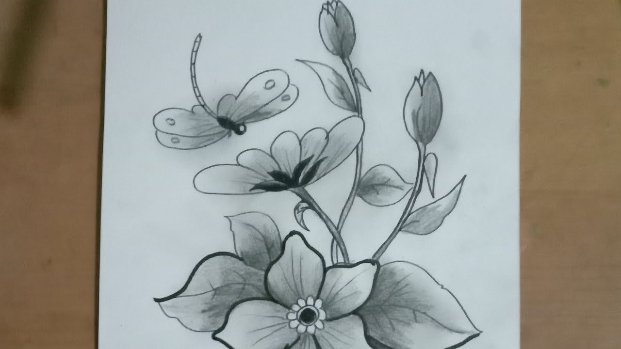 Detail Sketsa Gambar Bunga Flora Nomer 9