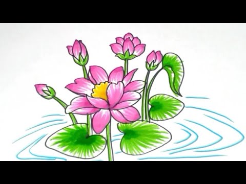 Detail Sketsa Gambar Bunga Lotus Nomer 37