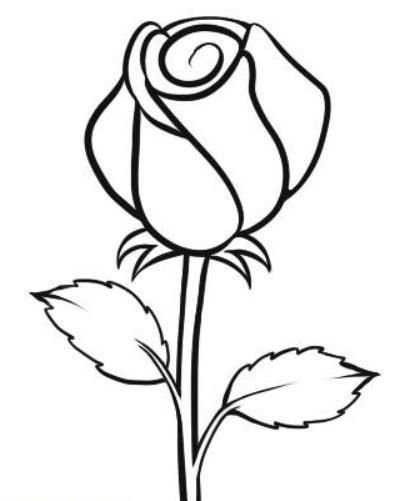 Sketsa Gambar Bunga Mawar Sederhana - KibrisPDR