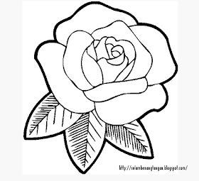 Detail Sketsa Gambar Bunga Mawar Sederhana Nomer 44