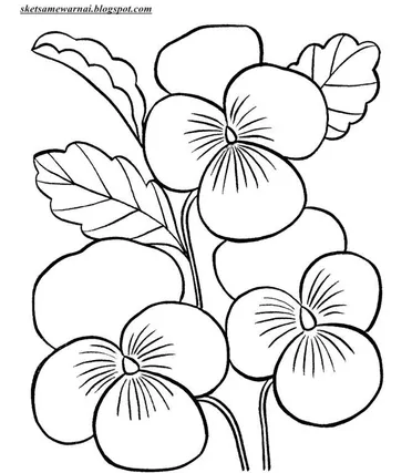 Detail Sketsa Gambar Bunga Melati Nomer 19